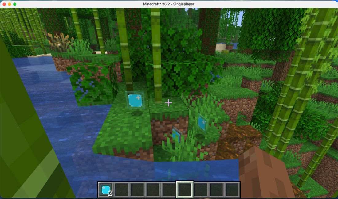 Minecraft in-game verification screenshot